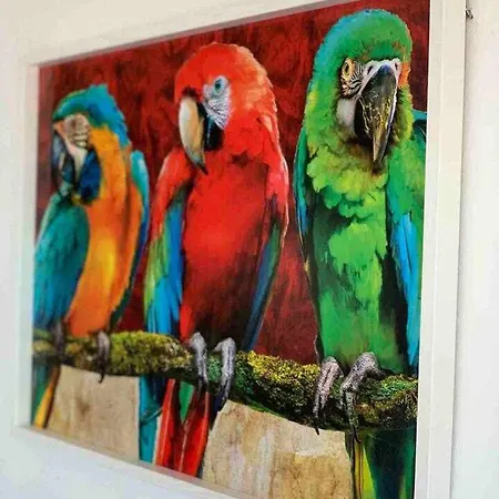 公寓 El Mirador De La Playa Cortadura Grupo Ac Gestion *