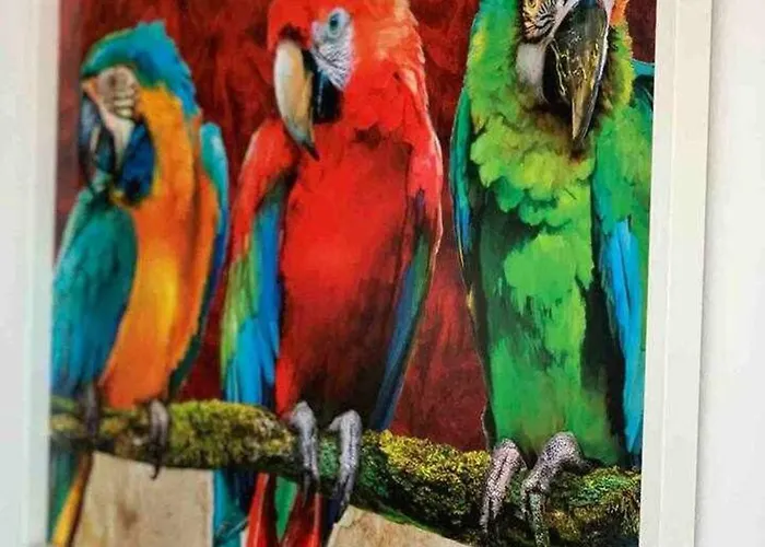 Apartamento El Mirador De La Playa Cortadura Grupo Ac Gestion *